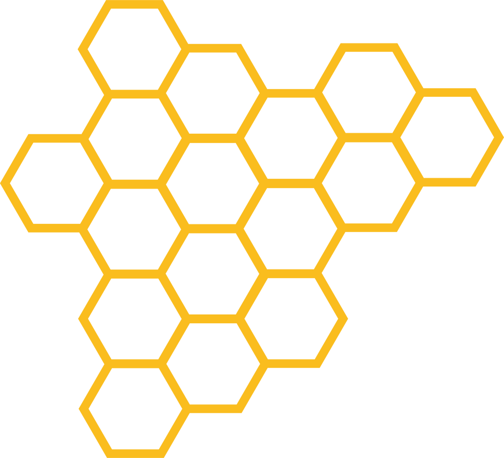 Bee Honeycomb Cells